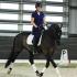 MDA Dressage Clinic